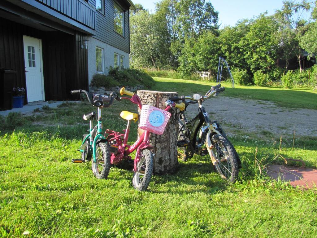 Midt i Lofoten Alstad  Eksteriør billede